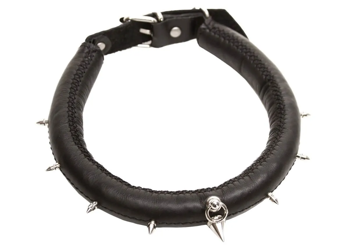 ошейник округлый большой, чёрный в Симферополе