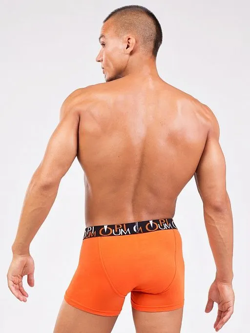 Эротическое трусы мужские боксеры opium r118, оранжевые в Симферополе
