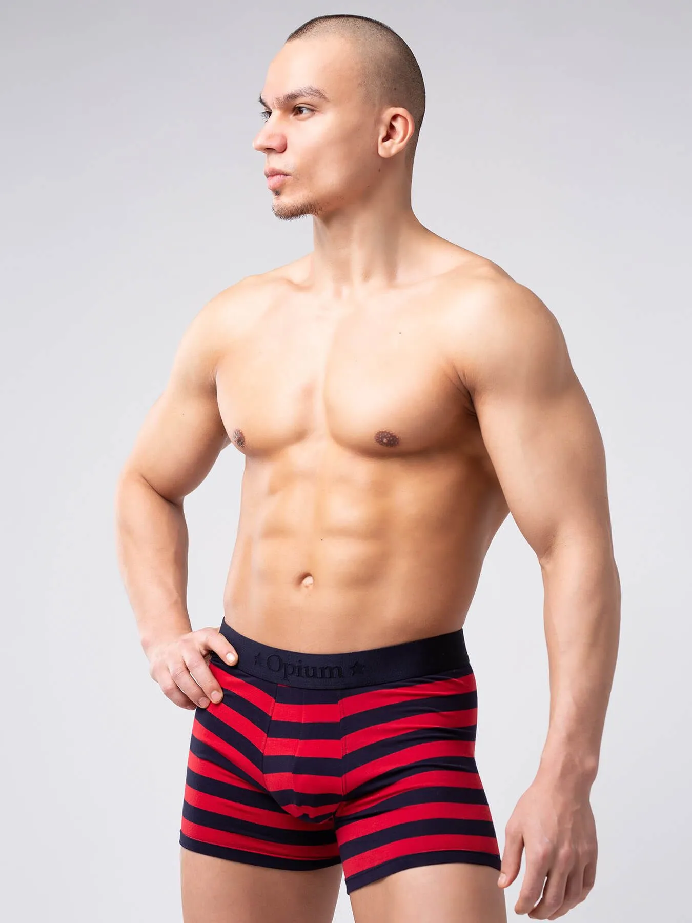 Эротическое трусы мужские удлиненные боксеры opium r126 в полоску в Симферополе