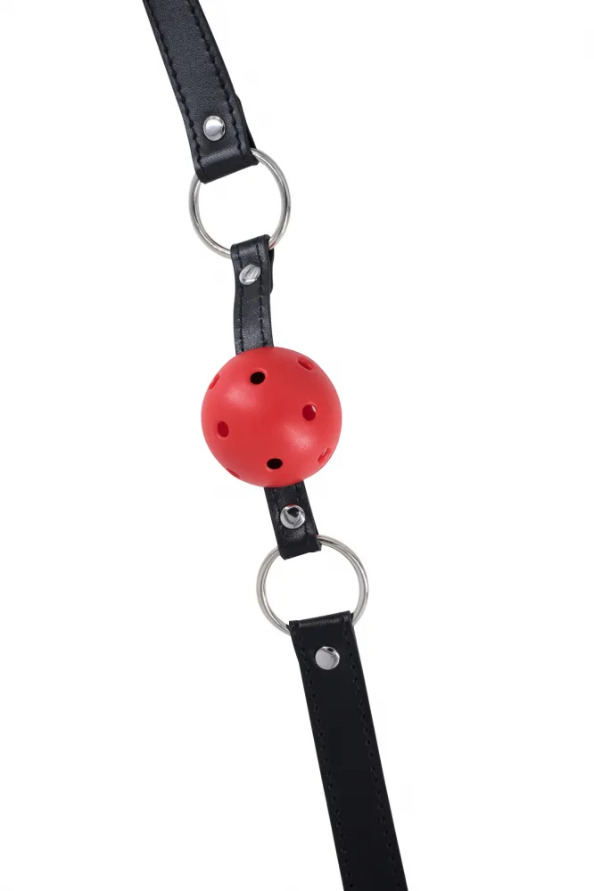 кляп party hard love spell red 1144-02lola в Симферополе