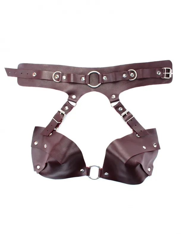 сбруя из ошейника с лифом lady's arsenal бордо 67018ars в Симферополе