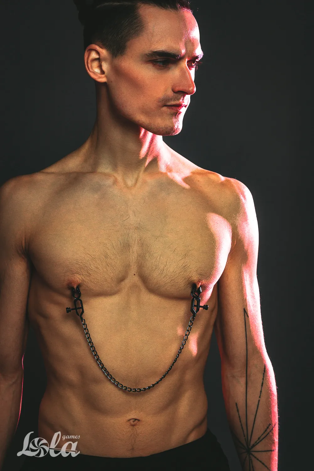 зажимы на cоски party hard desire 1137-01lola в Симферополе