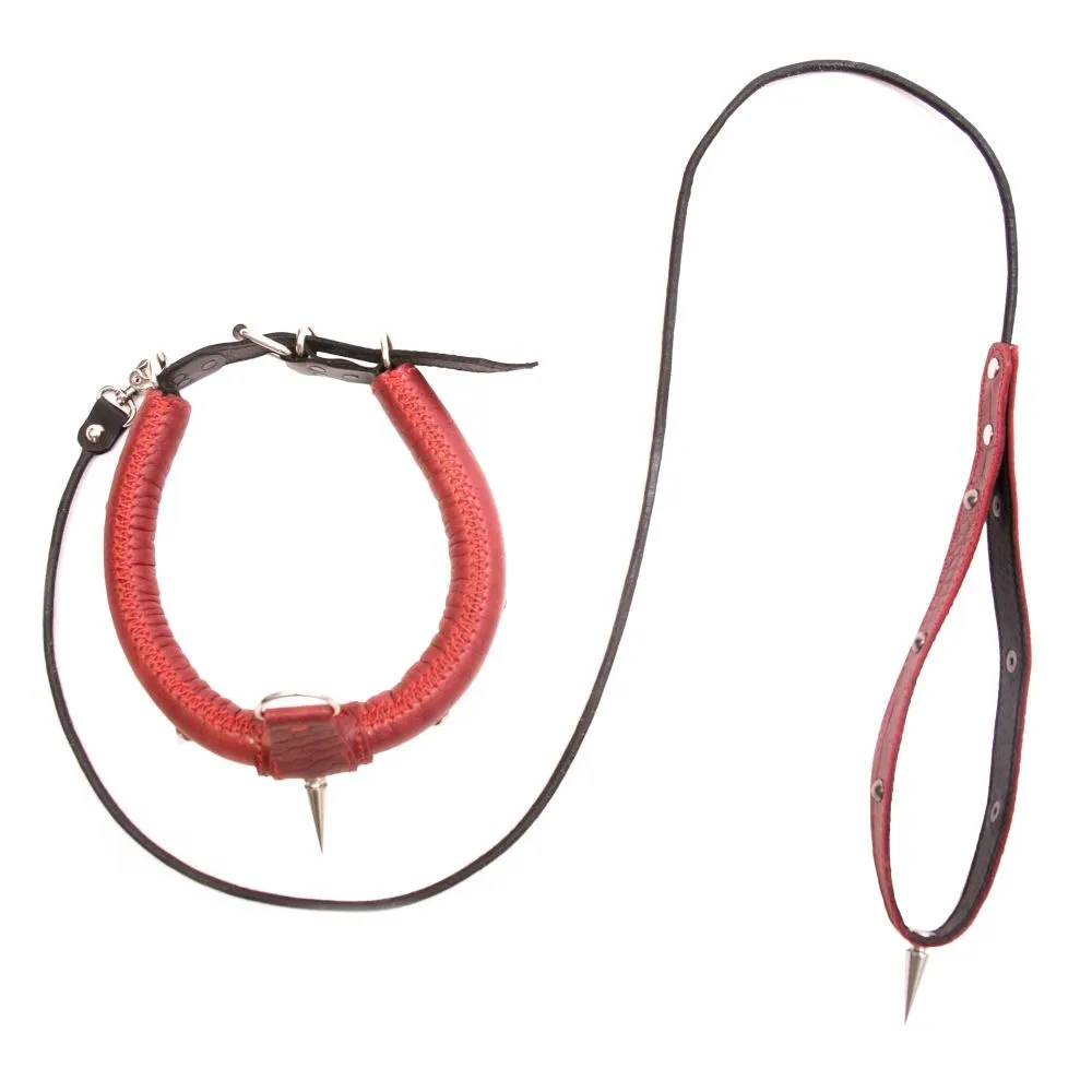 ошейник округлый c шипами, красный в Симферополе