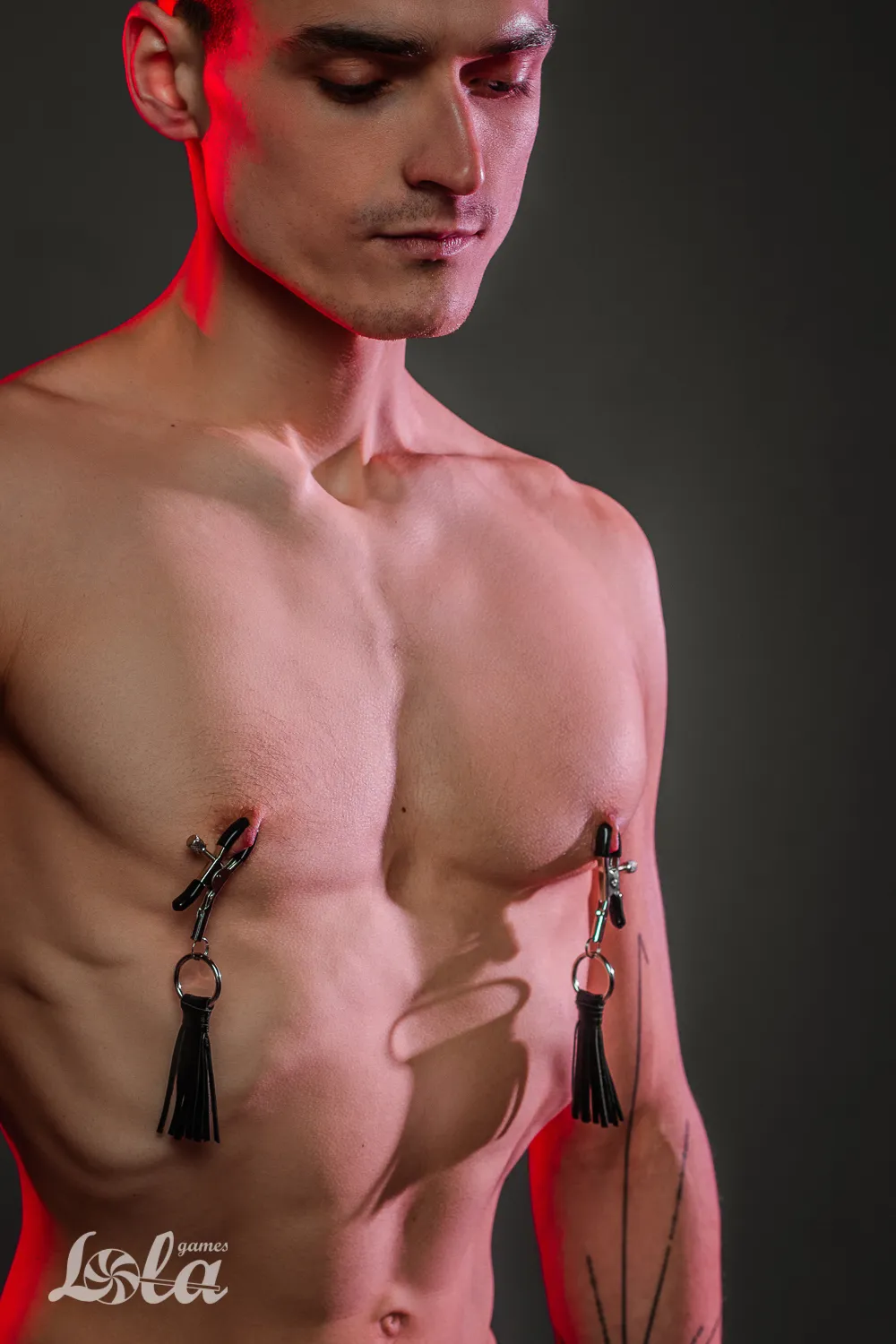 зажимы на соски party hard sweet escape 1130-01lola в Симферополе